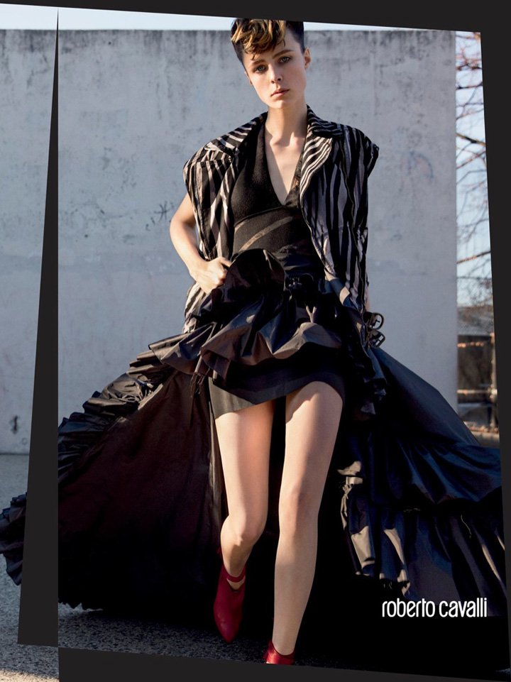 roberto cavalli（罗伯特·卡沃利）2016品牌广告大片