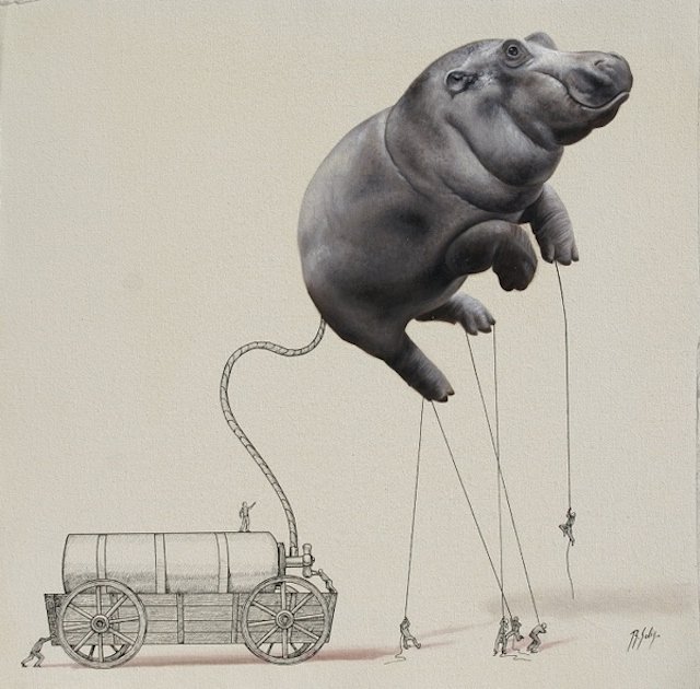 ricardo solis动物插画