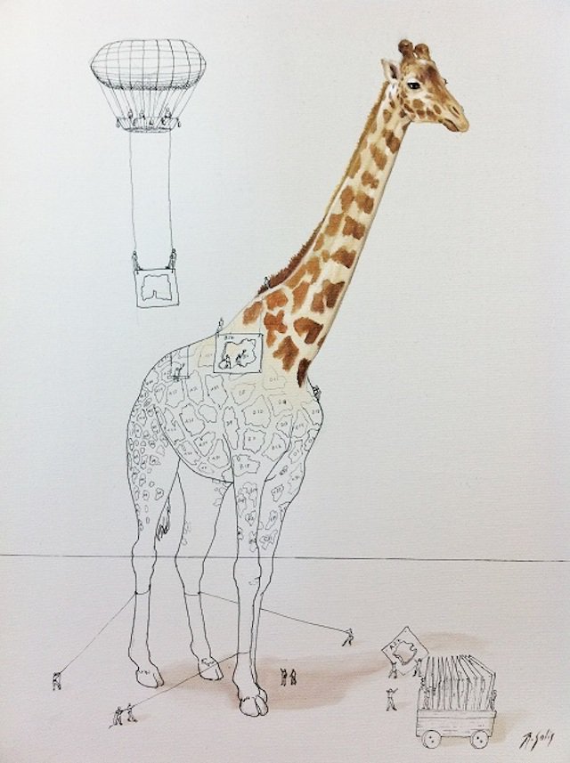 ricardo solis动物插画
