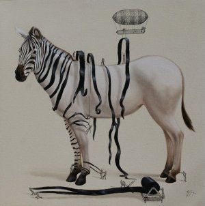 ricardo solis动物插画