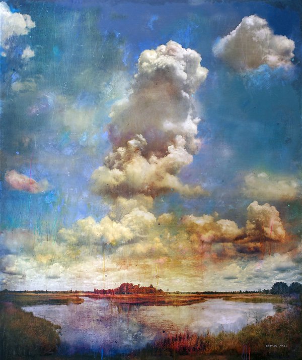 stev’nn hall绘画作品