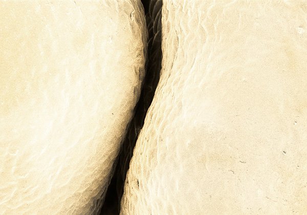 alpert_terra_cibus_no_11_cauliflower