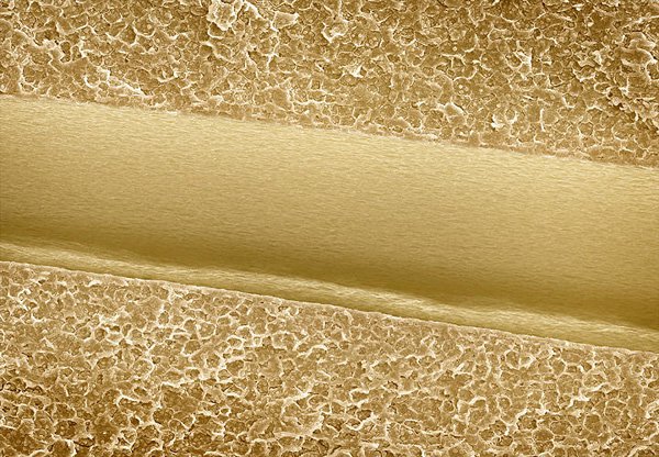 1671212-slide-alpert-terra-cibus-no-8-almond