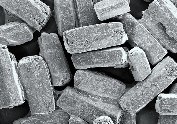 alpert_terra_cibus_no_18_sugar_1